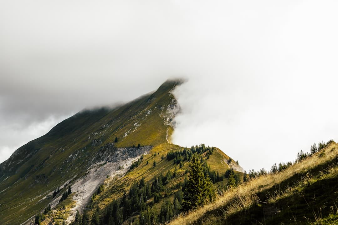 Hiking in the mountains