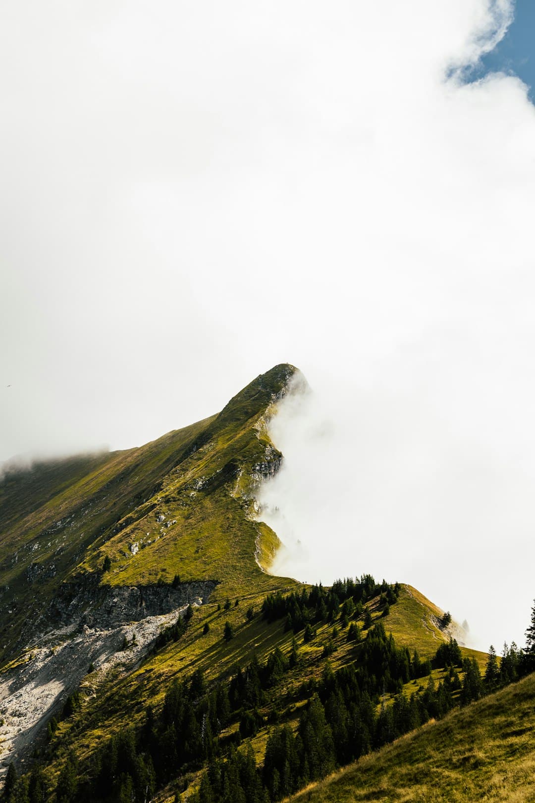Mountain trail running in alpine conditions